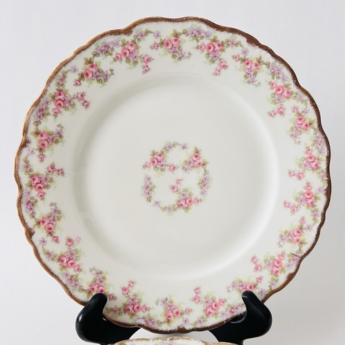 Antique bawo dotter elite - antique,