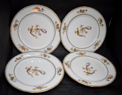 Bawo dotter elite limoges - bawo,