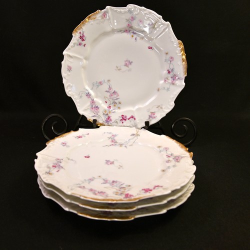 Limoges elite bawo dotter - limoges,