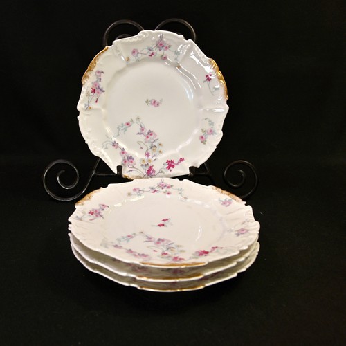 Limoges elite bawo dotter - dotter, 4