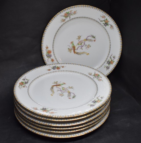 Bawo dotter elite limoges - bawo,