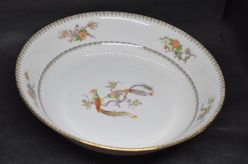 Bawo dotter elite limoges - &,