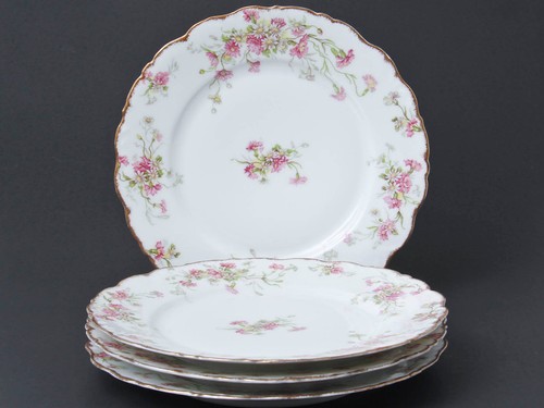 Piatti porcellana limoges - piatti,