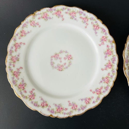 Antique bawo dotter elite - 2,