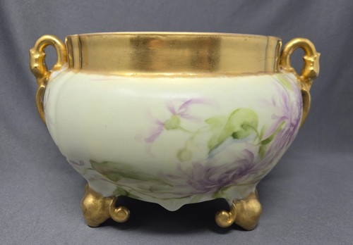 Bawo dotter elite limoges - dotter,