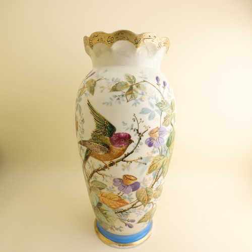 Bawo dotter limoges grande - &,